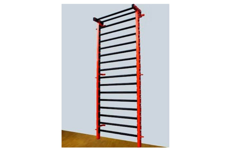 Rehab Wall Ladder